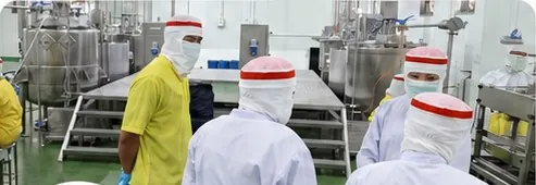 Team in the production area